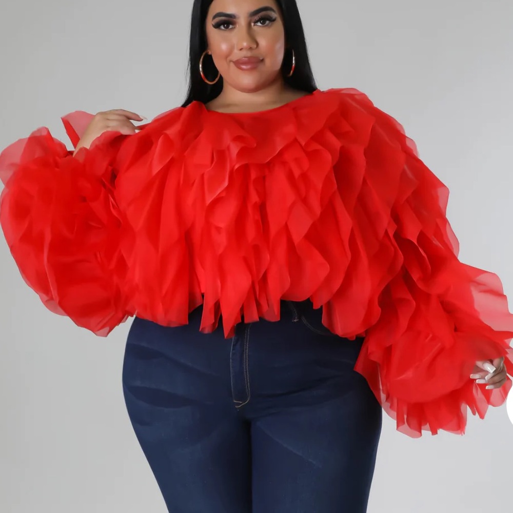 3xl tulle top purchased from GitiOnline.  Never worn!